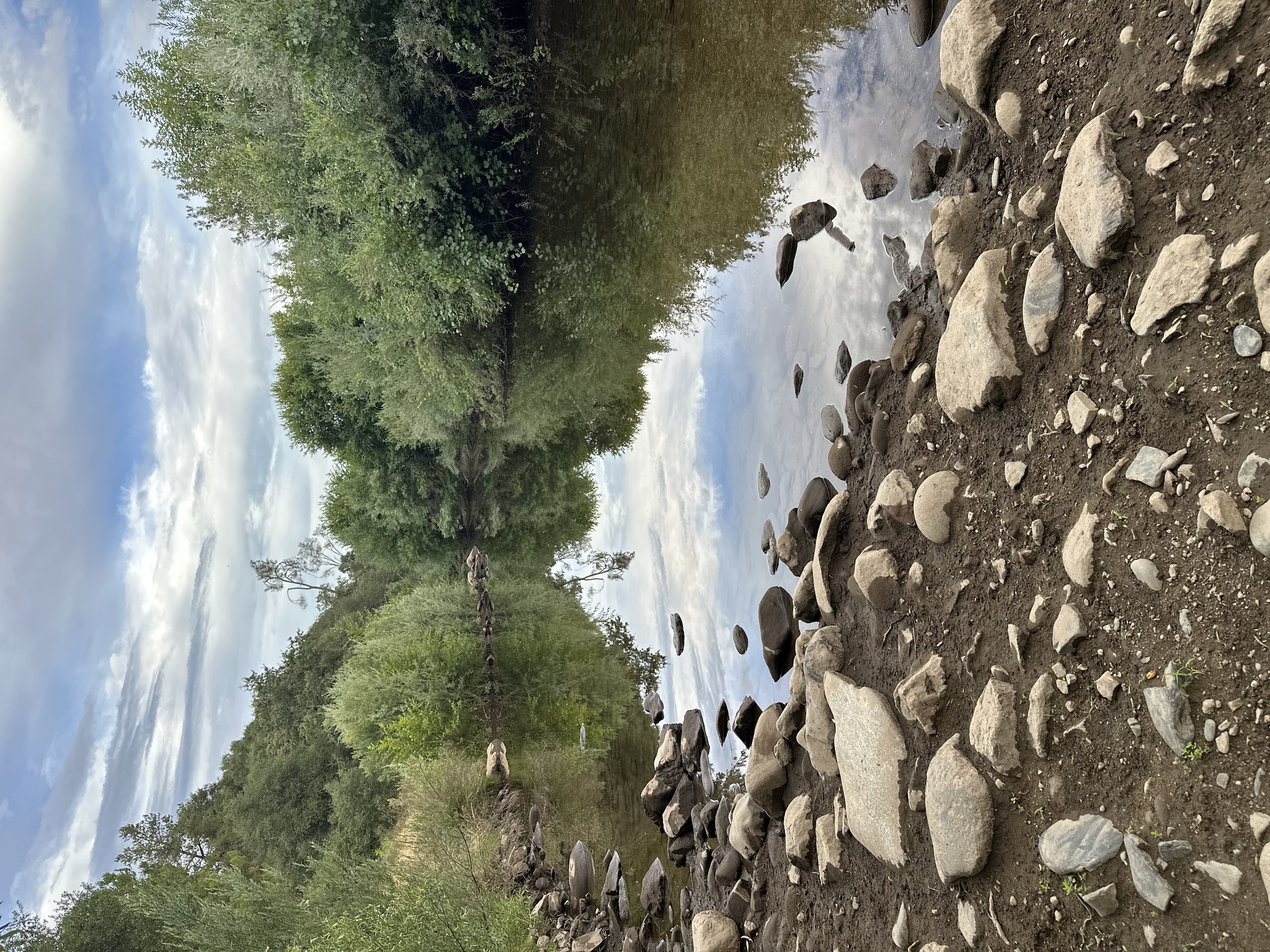 Calm river reflection